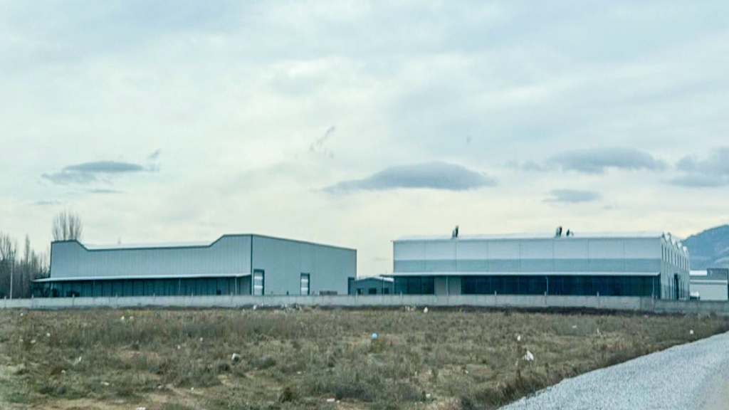 LMC tesis